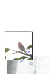 Page 10 of SStudy Ch.0-50 - preview thumbnail