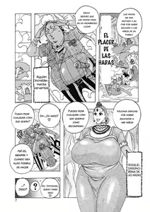 Hokkai no Kotou Chira Chira | El Placer de las Hadas (decensored) — hentai manga cover on Fhentai