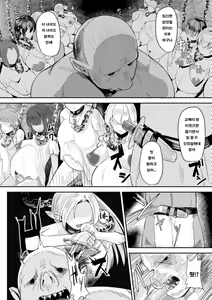 Hitoya no Elf | 감옥의 엘프 — hentai manga cover on Fhentai