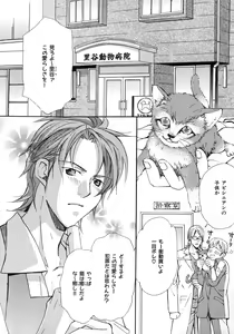 Page 251 of b-BOY Phoenix Vol.6 Gijinka Tokushuu - preview thumbnail