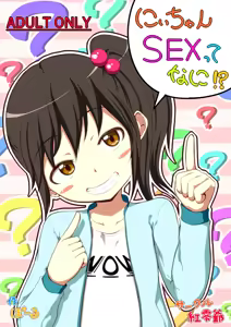 Nii-chan SEX tte Nani!? - hentai manga cover image