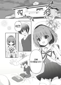 Page 13 of Onii-chan! H nano wa Ikemasen?! - preview thumbnail