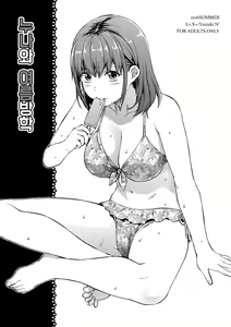 Ane to Natsuyasumi — hentai manga cover on Fhentai