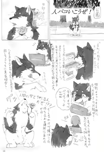 Page 16 of KTQ 5 - preview thumbnail