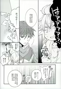 Page 13 of Hatsudori Document - preview thumbnail