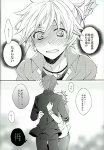 Page 19 of Hatsudori Document - preview thumbnail