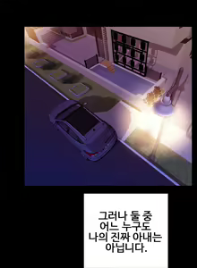 Page 29 of My Wives Ch.1-44 - preview thumbnail