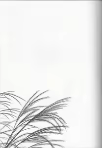 Page 21 of Hikari no Kimi no Saganaki Keikaku <Nokiba no Ogi> - preview thumbnail