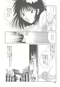 Page 113 of TWIN HEART - preview thumbnail