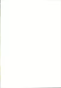 Page 2 of Paprika - preview thumbnail