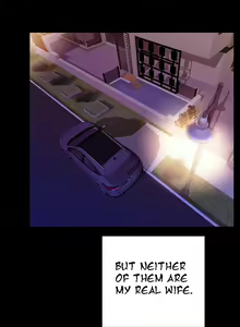 Page 29 of My Wives Ch.1-44 - preview thumbnail