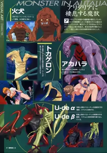 Page 30 of VIPER RSR Settei Gengashuu - preview thumbnail