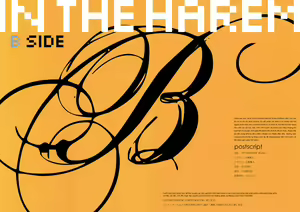 Page 2 of IN THE HAREM B SIDE (decensored) - preview thumbnail