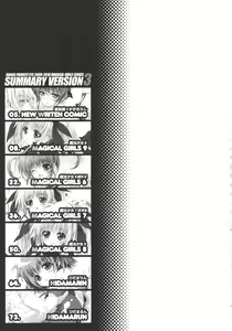 Page 3 of SUMMARY VERSION 3 - preview thumbnail