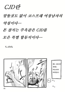 Page 3 of CJDG - preview thumbnail