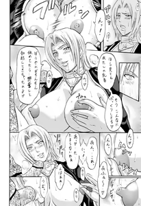 Page 9 of Tonkatsu Evolution IV - preview thumbnail