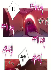 Page 444 of Scandal of the Witch Ch.0-42 - preview thumbnail