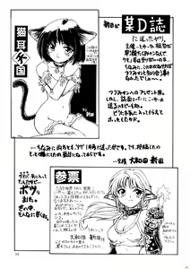 Page 11 of CAZA MAYOR 2 - preview thumbnail