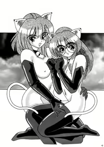 Page 13 of CAZA MAYOR 2 - preview thumbnail