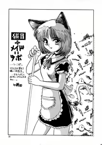 Page 35 of CAZA MAYOR 2 - preview thumbnail