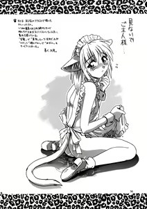Page 36 of CAZA MAYOR 2 - preview thumbnail