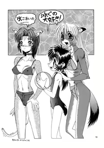 Page 13 of CAZA MAYOR 3 - preview thumbnail