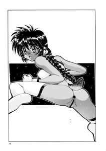 Page 15 of CAZA MAYOR 3 - preview thumbnail