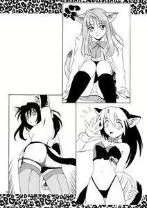 Page 18 of CAZA MAYOR 3 - preview thumbnail