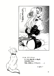 Page 20 of CAZA MAYOR 3 - preview thumbnail