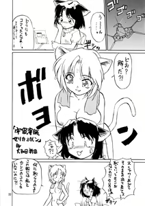 Page 22 of CAZA MAYOR 3 - preview thumbnail