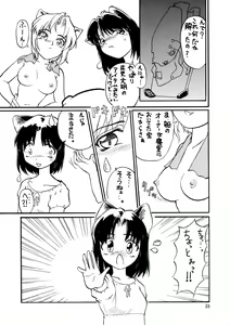 Page 23 of CAZA MAYOR 3 - preview thumbnail