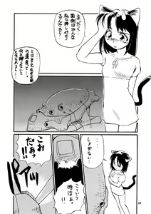 Page 24 of CAZA MAYOR 3 - preview thumbnail