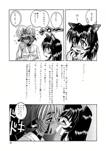 Page 37 of CAZA MAYOR 3 - preview thumbnail