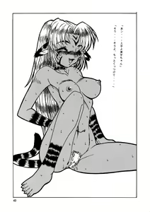 Page 43 of CAZA MAYOR 3 - preview thumbnail