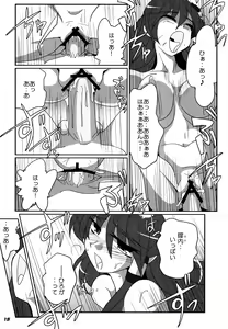 Page 16 of TOHO N+ SSR - preview thumbnail