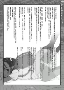 Page 16 of Limitter C91 - preview thumbnail