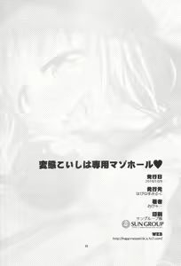 Page 25 of Hentai Koishi wa Senyou Maso Hole - preview thumbnail