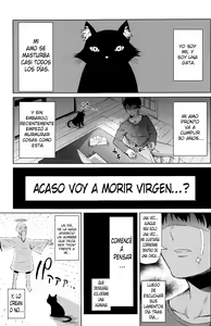 Ningen ni Natta Neko | La Gata Que Se Volvió Humana — hentai manga cover on Fhentai