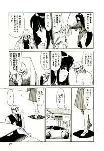 Page 32 of Towns Sweeper - preview thumbnail