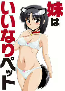 Page 116 of Shirouto Toukou Taiken Joshikousei Roshutsu Inkou Densha - preview thumbnail