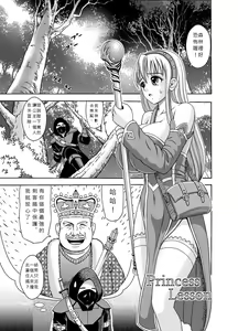 Princess Lesson 1-16 — hentai manga cover on Fhentai