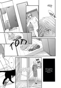 Page 212 of Kuroneko Kareshi no Asobikata | Правила игры с чёрным котом - preview thumbnail