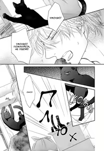 Page 216 of Kuroneko Kareshi no Asobikata | Правила игры с чёрным котом - preview thumbnail