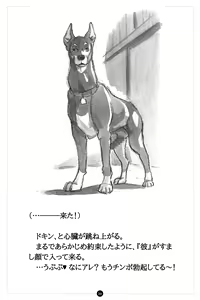 Page 40 of Himitsu no Inukko Club ~ Bitter~ - preview thumbnail