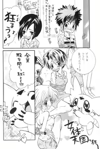 Page 12 of DUMMY - preview thumbnail
