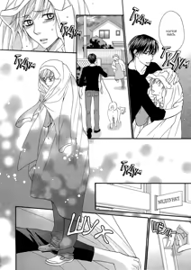 Page 109 of Nekoka Kareshi no Ayashikata | Правила воспитания бойфренда-котоборотня - preview thumbnail