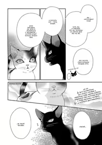 Page 177 of Nekoka Kareshi no Ayashikata | Правила воспитания бойфренда-котоборотня - preview thumbnail