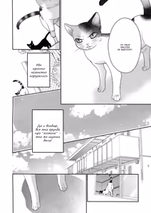 Page 178 of Nekoka Kareshi no Ayashikata | Правила воспитания бойфренда-котоборотня - preview thumbnail