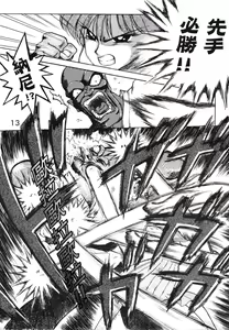 Page 13 of SUBMISSION JUPITER PLUS - preview thumbnail