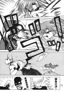 Page 15 of SUBMISSION JUPITER PLUS - preview thumbnail